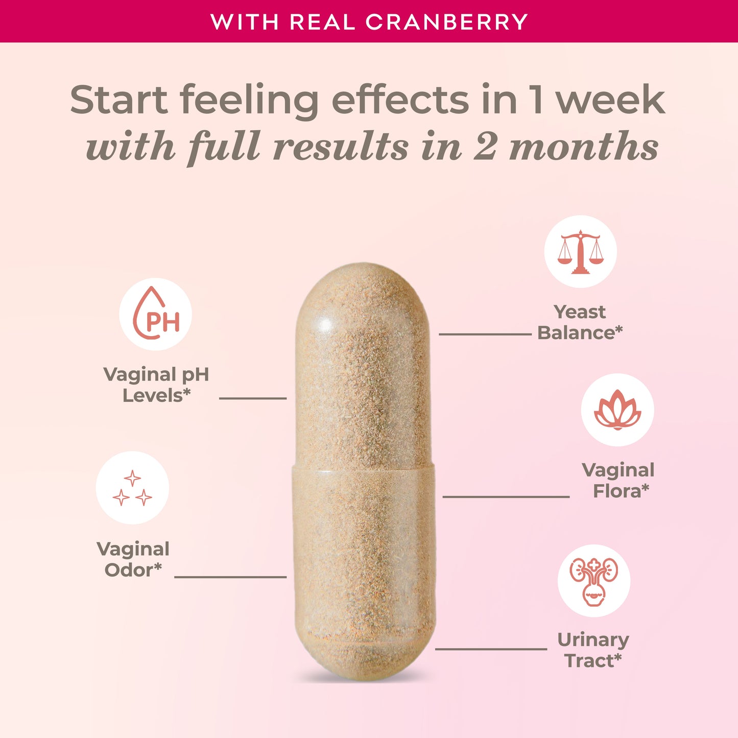 Vaginal Probiotic Capsules for UTI care | Cranberry extract